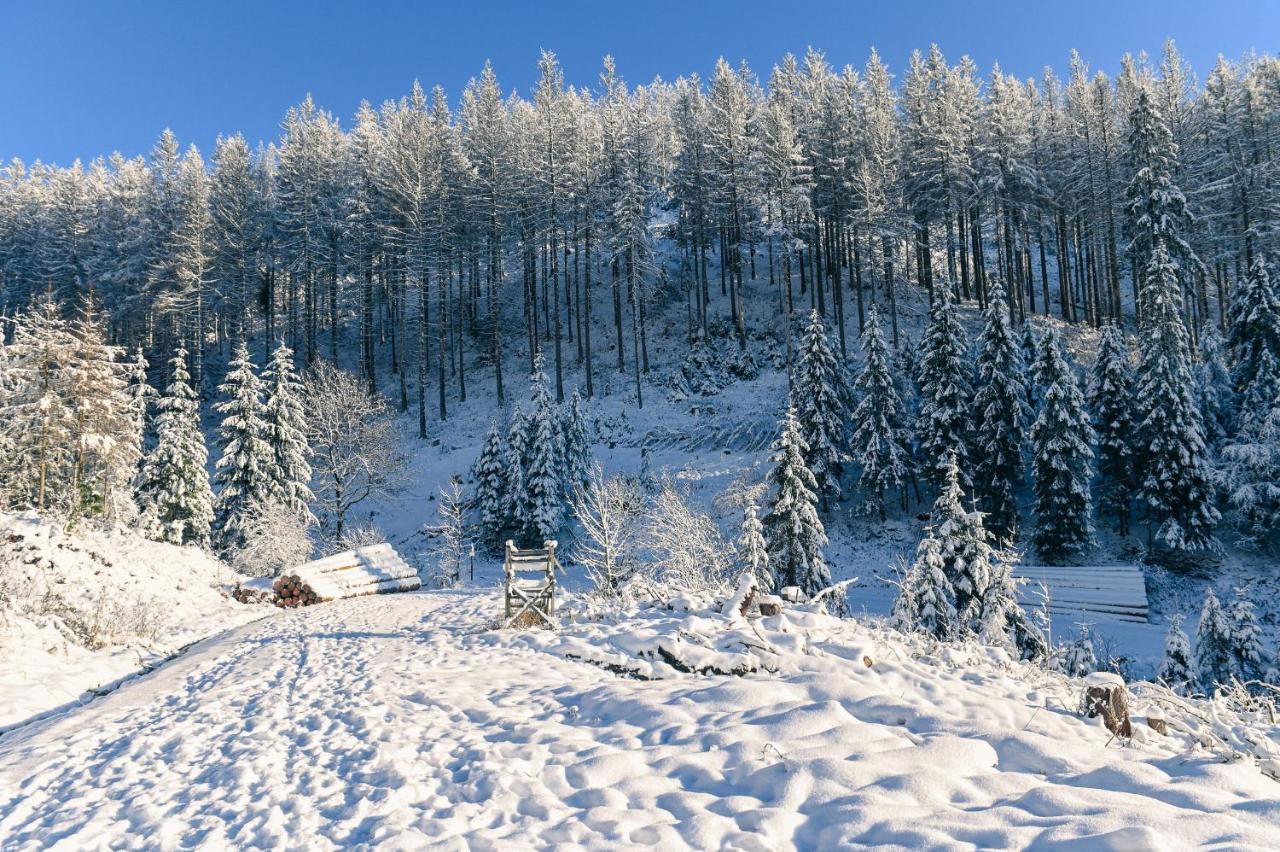 Tiny House Nature 12 - Green Tiny Village Harz Osterode am Harz Екстериор снимка